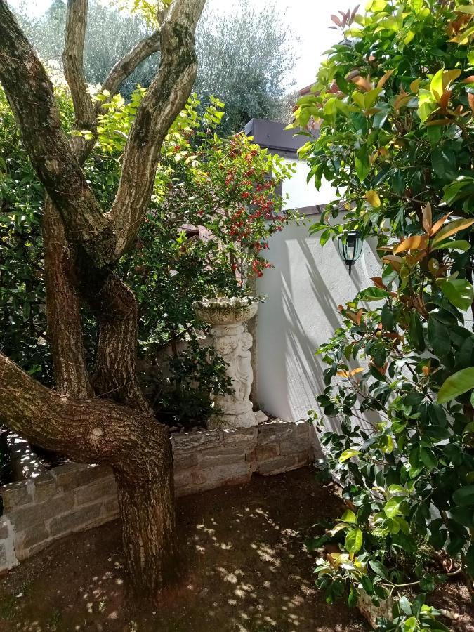 B&B Il Cantuccio Desenzano del Garda Extérieur photo